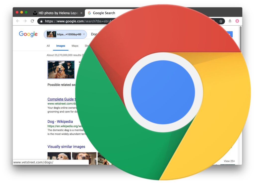 How To Reverse Image Search On iPhone With Google Chrome