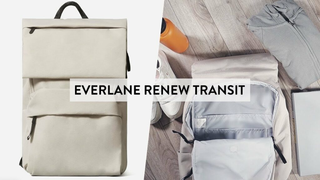 Everlane The ReNew Transit Backpack