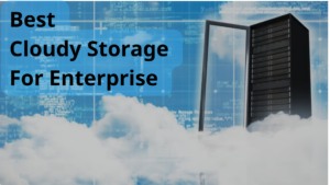 Enterprise storage cloud