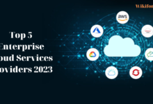 Enterprise Cloud Services Providers